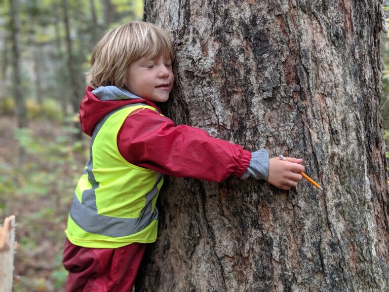 forest-school-roots-and-boots-forest-school-society